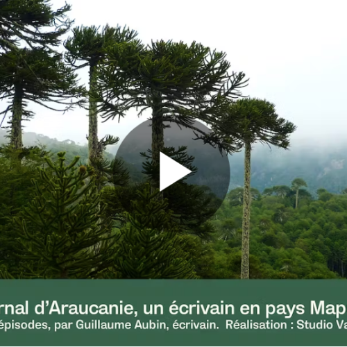Journal d’Araucanie, un écrivain en pays Mapuche. Épisode 3